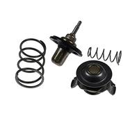 BLUE PRINT ADJ139204 Termostato motore