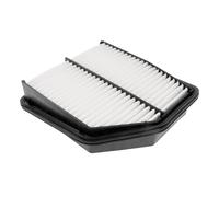 BLUE PRINT ADK82240 Filtro aria motore Cartuccia filtro