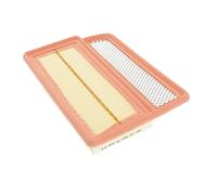 BLUE PRINT ADL142206 Filtro aria motore Cartuccia filtro