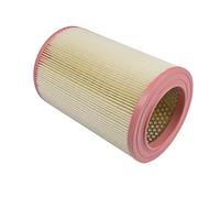BLUE PRINT ADL142210 Filtro aria motore Cartuccia filtro