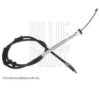 BLUE PRINT ADL144602 Cavo freno a mano per FIAT GRANDE PUNTO (199) Posteriore Dx