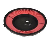 BLUE PRINT ADN12217 Filtro aria motore Cartuccia filtro