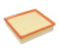 BLUE PRINT ADN12243 Filtro aria motore Cartuccia filtro con prefiltro