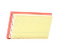 BLUE PRINT ADN12249 Filtro aria motore Cartuccia filtro