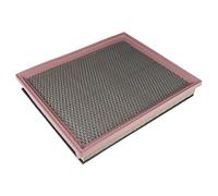 BLUE PRINT ADN12251 Filtro aria motore Cartuccia filtro con prefiltro