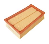 BLUE PRINT ADN12256 Filtro aria motore Cartuccia filtro