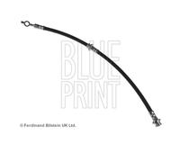 Blue Print ADN153181 Tubo Del Freno Anteriore Sinistro Per Nissan Almera II