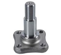 BLUE PRINT ADN18423 Fusello Corpo assiale Posteriore Sx Posteriore Dx Perno Fuso Perno Fuso Perno Fuso a Snodo
