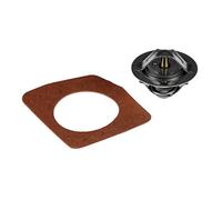 Blue Print ADN19202 Termostato, Refrigerante