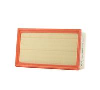 Blue Print Filtro aria ADP152215 Vano motore