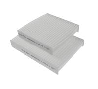 Blue Print ADP152508 Filtro Aria Abitacolo