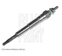 BLUE PRINT Candeletta per TOYOTA ADT31811