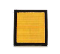 BP ADT322111 Filtro Aria Lexus Rx