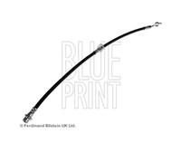 Blue Print ADT353197 Tubo Del Freno Anteriore Sinistro Per Toyota RAV 4 II