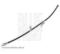 Tubo flessibile del freno BLUE PRINT ADT353272