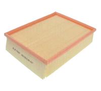 BLUE PRINT ADV182208 Filtro aria motore Cartuccia filtro