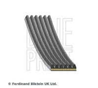 BLUE PRINT Cinghia A V Ribelli Per Honda Jazz IV GK 1.3 GK 1.5 HR-V RU 1.5I-VTEC