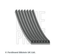 BLUE PRINT Cinghia Scanalata per Jeep Commander Grand Cherokee III Chrysler 300