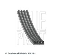 BLUE PRINT Cinghia Scanalata per Suzuki Grand Vitara I Lexus Is Sportcross