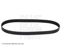 BLUE PRINT Cinghia Scanalata per Suzuki Swift V Az 1.0