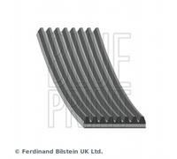 BLUE PRINT Cinghia Scanalata Trapezoidale Adatto A per Mazda CX-7 Lui AD08R1295