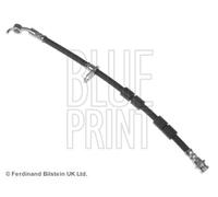 BLUE PRINT Flessibile Del Freno Tubo Anteriore SX per Ford Fiesta VI ADM553121