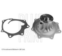 BLUE PRINT Pompa Dell'Acqua Per Nissan Cabstar E Trade Pritsche/Fahrgestell