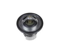 BP ADD69208 Termostato Feroza,