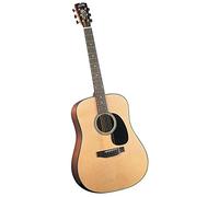 Blue Ridge BR40 - Chitarra western dreadnought