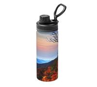 Blue Ridge Mountains - Bollitore termico sportivo da 510 g, per ciclismo, palestra, basket, attività all'aperto, adatto come regalo