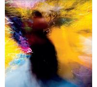 Blue Rose Code - Bright Circumstance