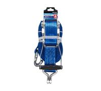 Blue Spot Tools Cinghia di Ancoraggio a Cricchetto Resistente 50mm x 10m