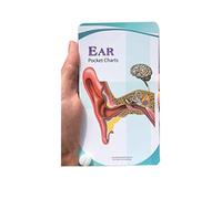 Blue Tree Publishing Grafici tascabili Ear Anatomy