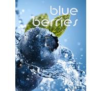 Blueberries: Bright Colorful Home Decor Accent Piece | For Kitchens, Living Rooms, Modern Homes And Interior Design