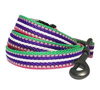 Blueberry Pet 3M Reflective Multi-Colored Stripe Dog Lead in Pink, Small