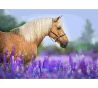 BlueBird - Puzzle Cheval in un Champ de Lupin - 300 Pezzi