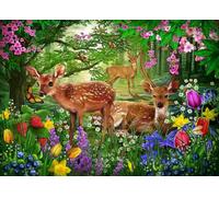 BlueBird - Puzzle Ciro Marchetti: Spirito di Primavera - 300 Pezzi