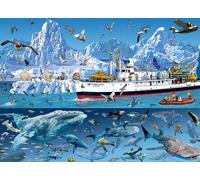 BlueBird - Puzzle François Ruyer: Artico - Barca Bluebird - 1500 Pezzi