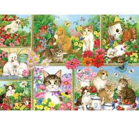 BlueBird - Puzzle Gatti e gattini - 1000 Pezzi