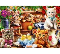 BlueBird - Puzzle Gattini nel capannone - 1000 Pezzi