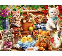 BlueBird - Puzzle Gattini nel capannone di invasatura - 3000 Pezzi