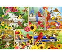 BlueBird - Puzzle Piume e azienda - 1000 Pezzi