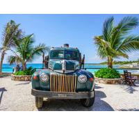 BlueBird - Puzzle Vecchio camion - 1000 Pezzi