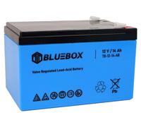 Bluebox Batteria Gel VRLA AGM 12V 14Ah per auto
