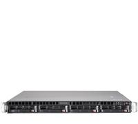 bluechip SERVERline R41303s (850640)