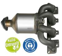 BLUEKAT 22305021 Catalizzatore