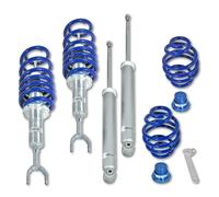 BlueLine Sospensione Regolabile Adatta Per Audi A6 (4B), Inclusi I Modelli Avant