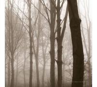 Blueneck - Scars Of The Mid Est