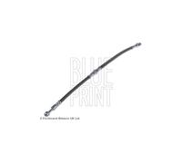 BLUEPRINT Flessibile Freno Anteriore Mitsubishi Carisma Space Star M862414