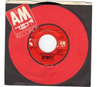 BLUES TRAVELER/Hook bw Run-around/45rpm record